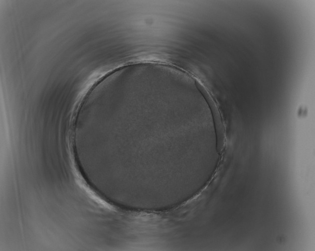 X0000112420193200908281846