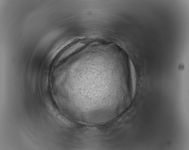 X0000112420194200908281846