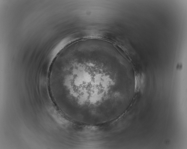 X0000112420195200908281846