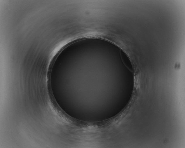 X0000112420196200908281846