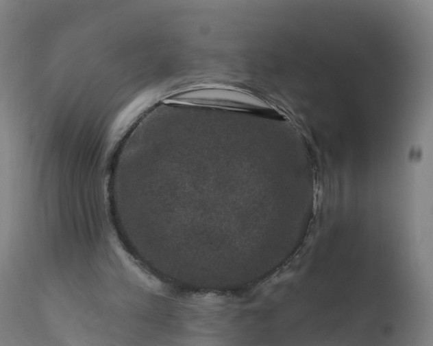 X0000112420197200908281846