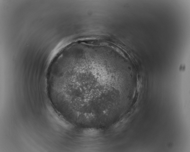 X0000112420198200908281846