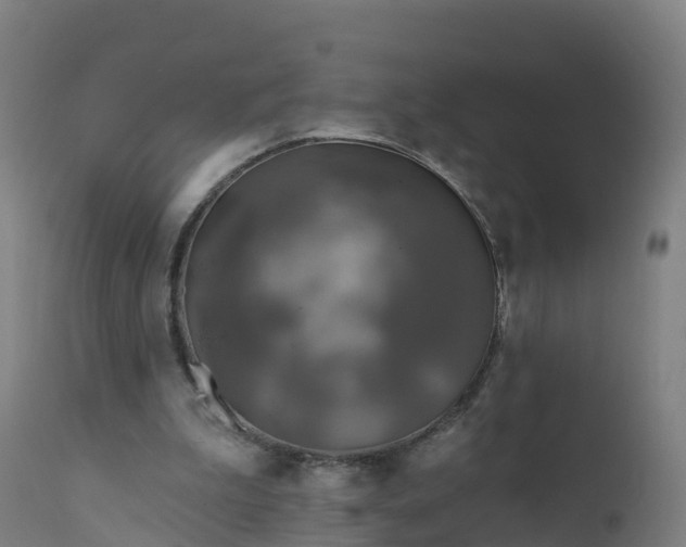 X0000112420199200908281846