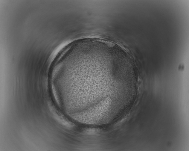 X0000112420200200908281846