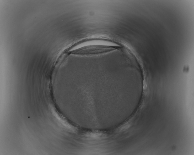 X0000112420201200908281846