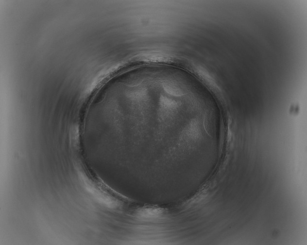 X0000112420202200908281846