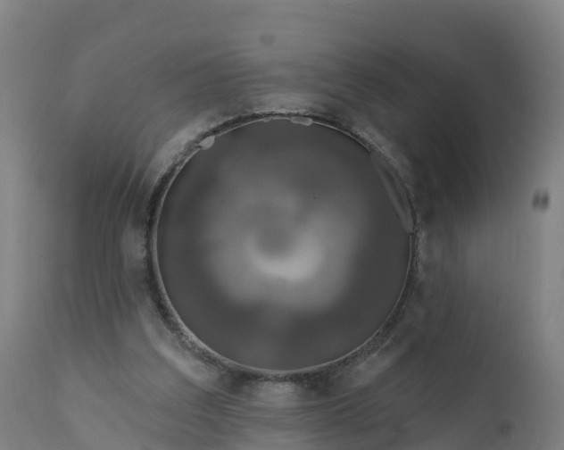 X0000112420203200908281846