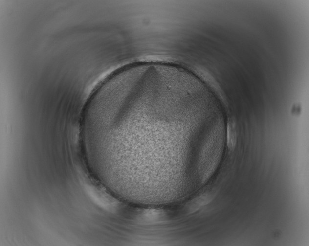 X0000112420204200908281846