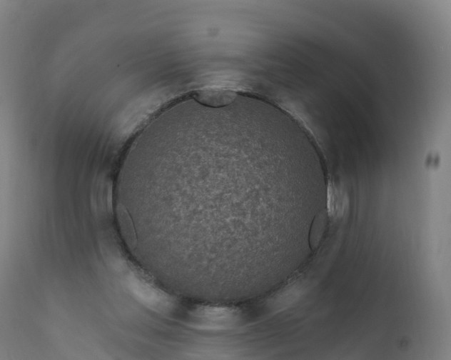 X0000112420205200908281846