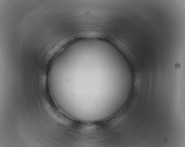 X0000112420206200908281846