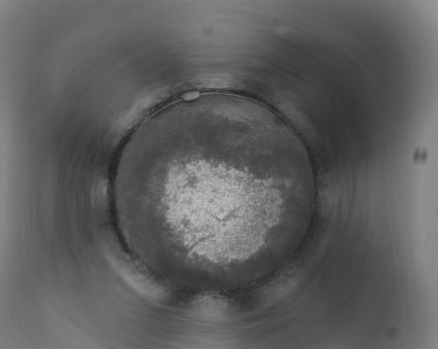 X0000112420207200908281846