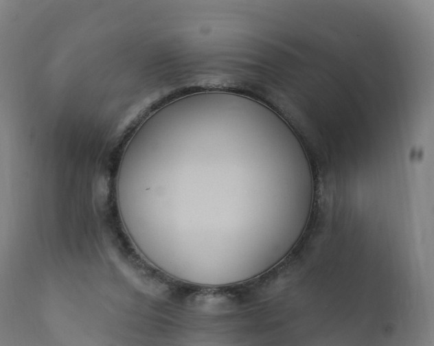 X0000112420208200908281846