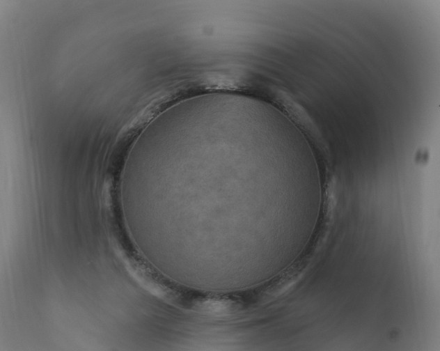 X0000112420209200908281846