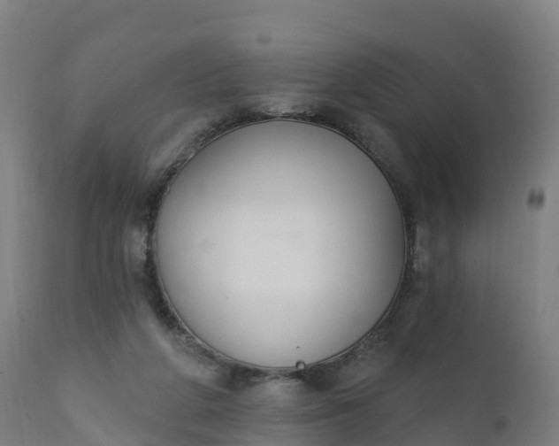 X0000112420210200908281846