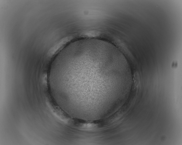 X0000112420212200908281846