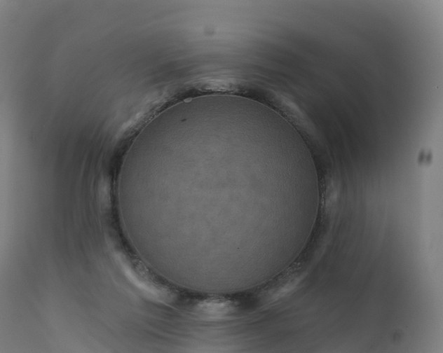 X0000112420213200908281846