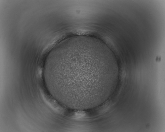 X0000112420214200908281846