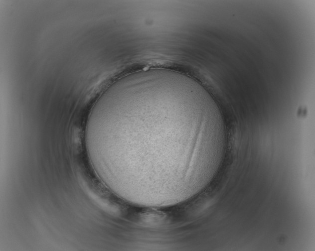 X0000112420215200908281846