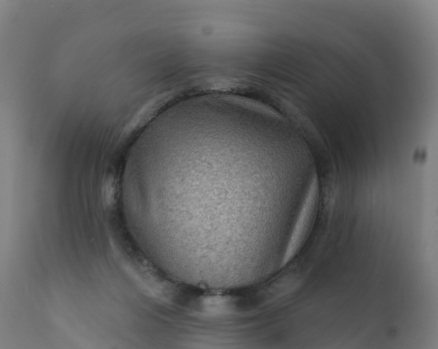 X0000112420216200908281846