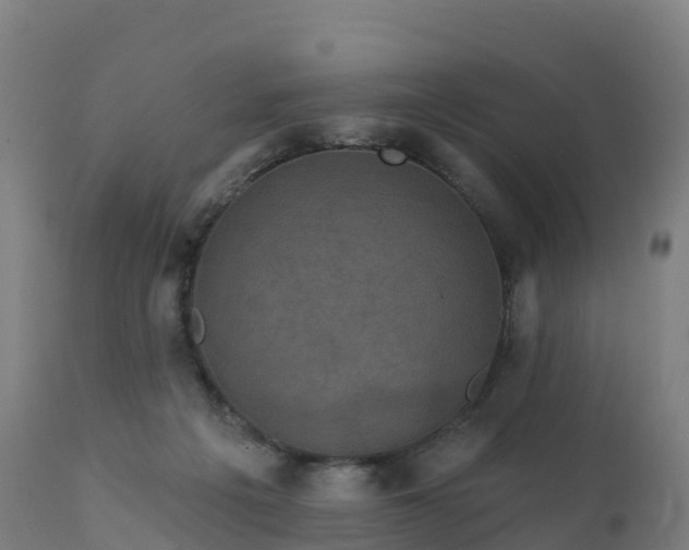 X0000112420217200908281846