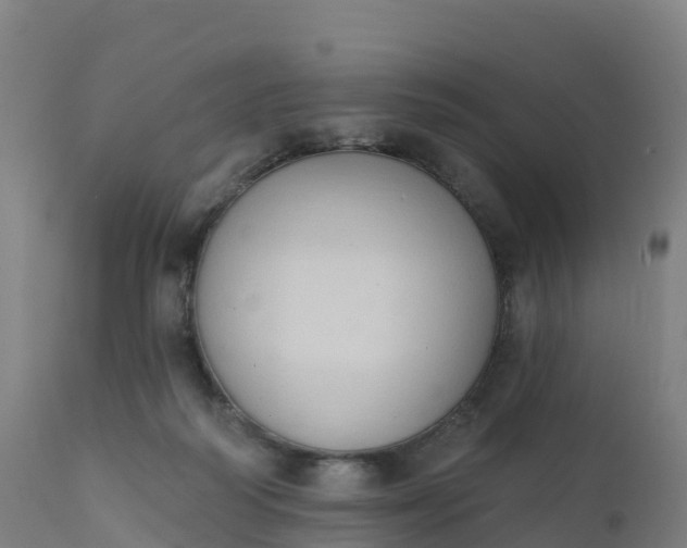 X0000112420218200908281846