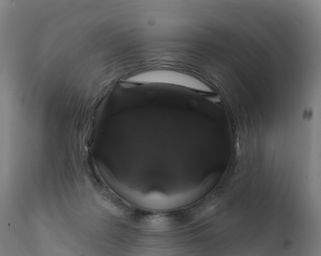 X0000112420219200908281846