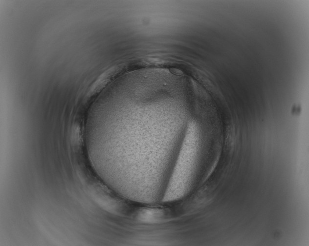 X0000112420220200908281846