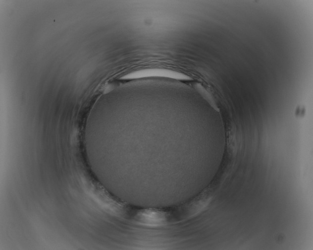 X0000112420221200908281846