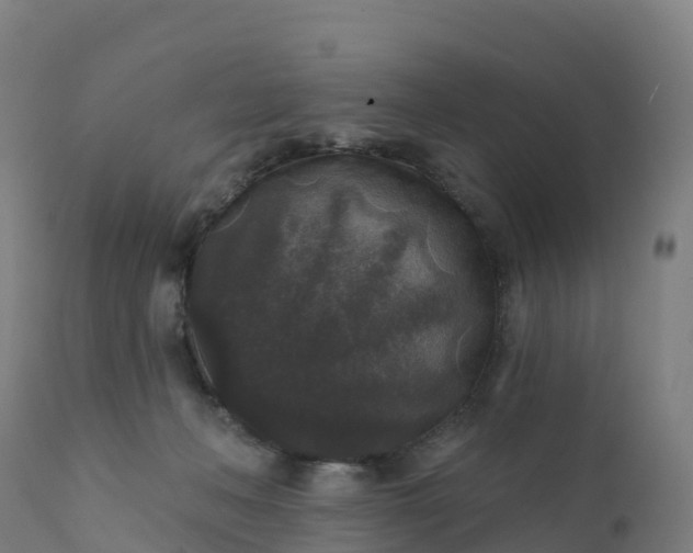 X0000112420222200908281846