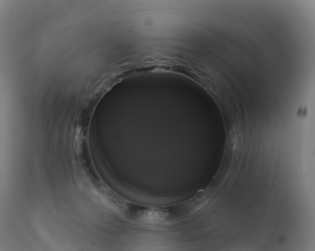 X0000112420223200908281846