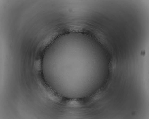 X0000112420224200908281846