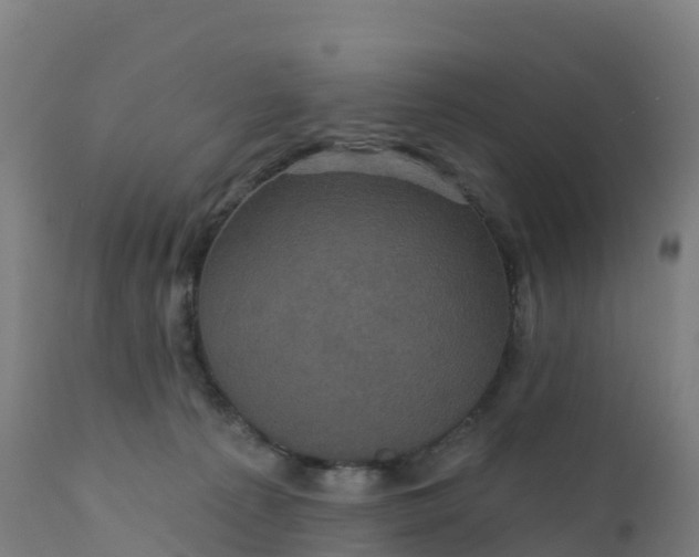 X0000112420225200908281846