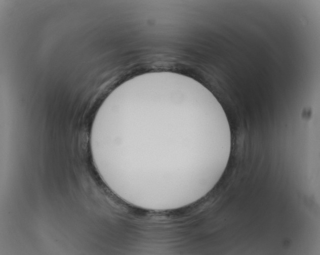 X0000112420228200908281846