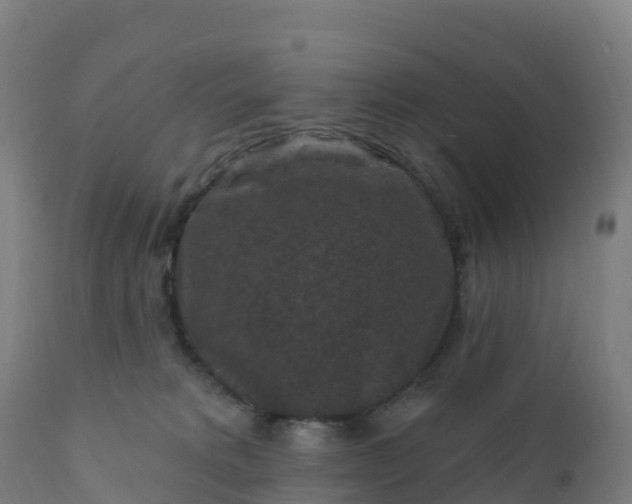 X0000112420229200908281846