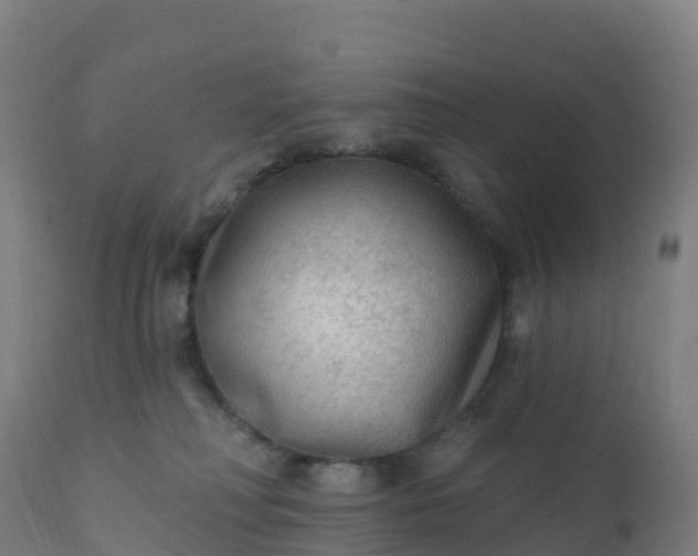 X0000112420230200908281846