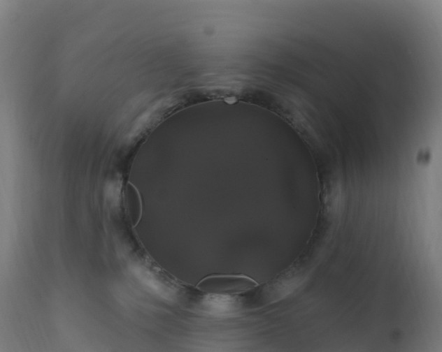 X0000112420231200908281846