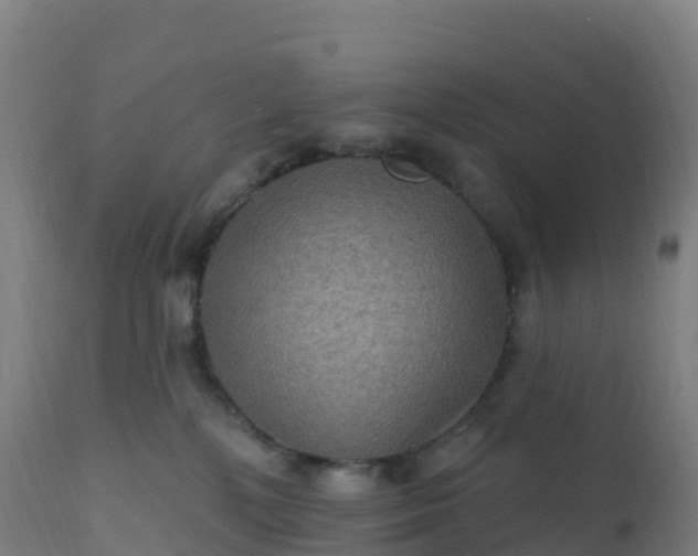 X0000112420232200908281846