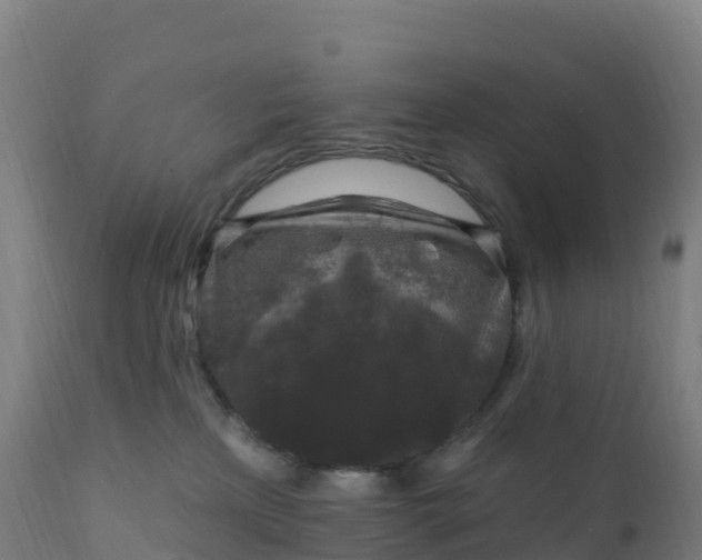 X0000112420233200908281846