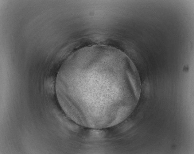 X0000112420234200908281846