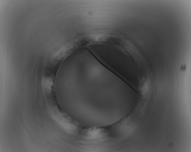 X0000112420235200908281846