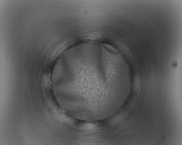 X0000112420236200908281846