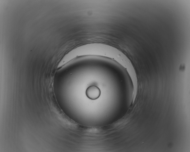 X0000112420237200908281846