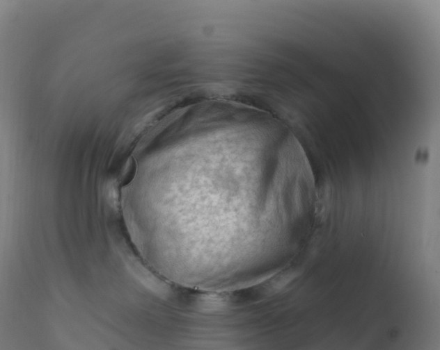 X0000112420238200908281846