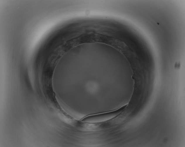 X0000112420239200908281845