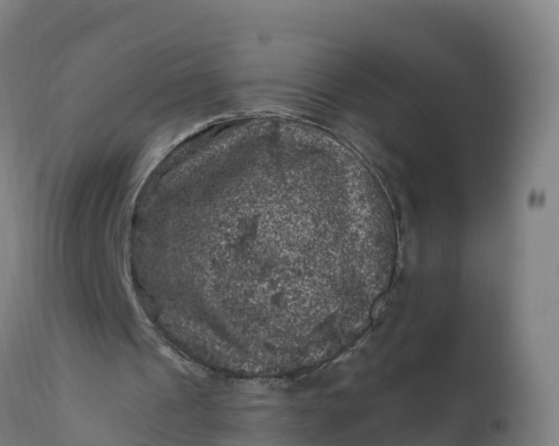 X0000112420241200908281845