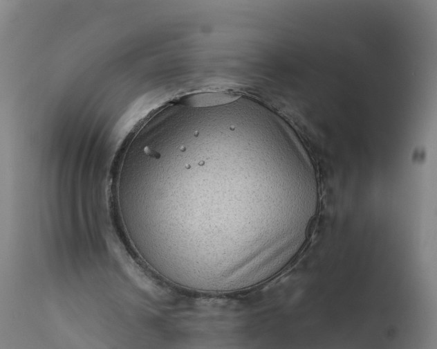 X0000112420242200908281845