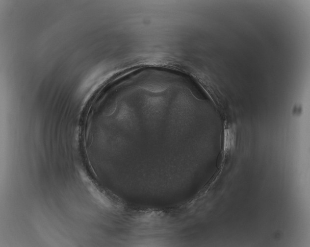 X0000112420243200908281845