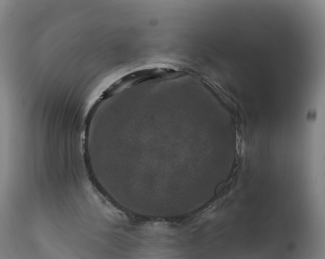 X0000112420244200908281845