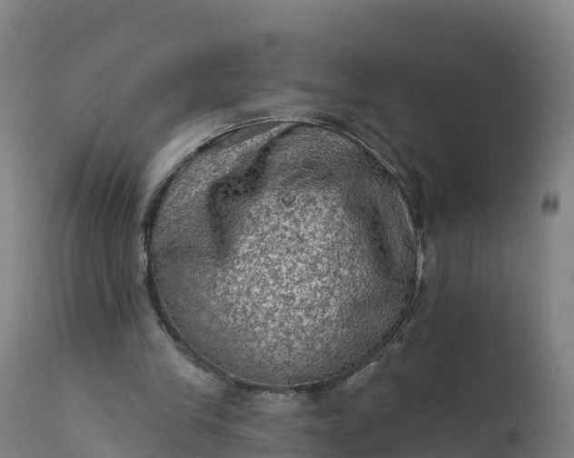 X0000112420245200908281845