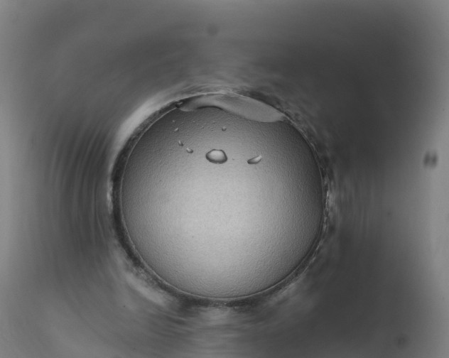 X0000112420246200908281845